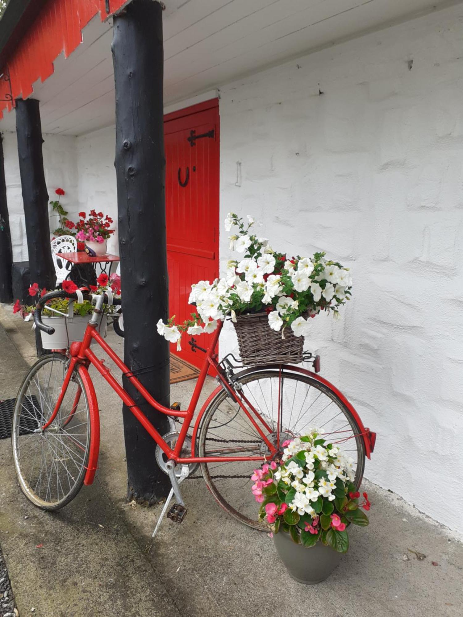 Cummins Cottages Ballycrossaun Exterior foto