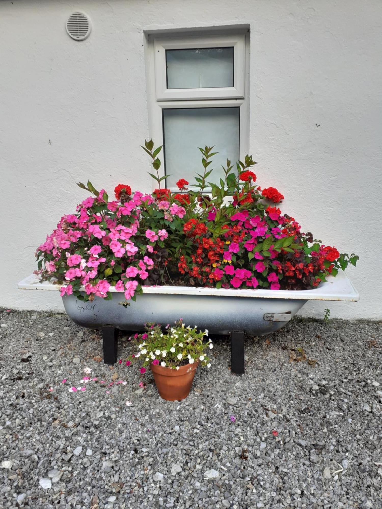 Cummins Cottages Ballycrossaun Exterior foto