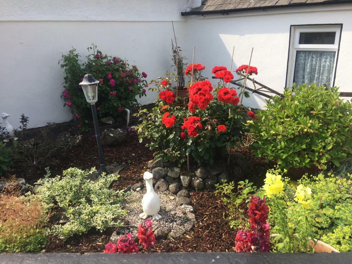 Cummins Cottages Ballycrossaun Exterior foto